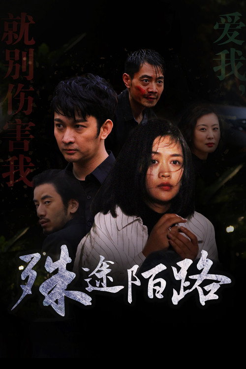 Movie poster for 殊途陌路 (2022)