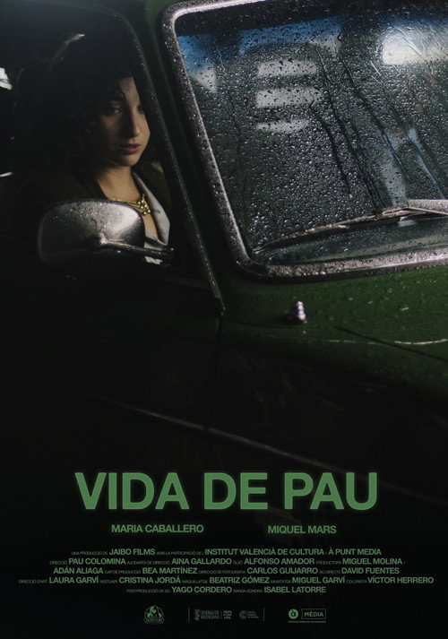 Movie poster for Vida de pau