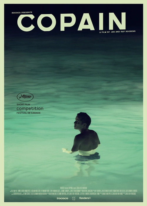 Movie poster for Buddy (2015)