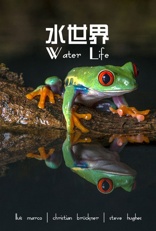 Water Life A World of Water poster