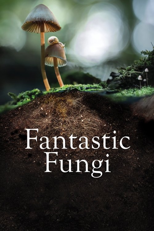 Movie poster for Fantastic Fungi (2019)