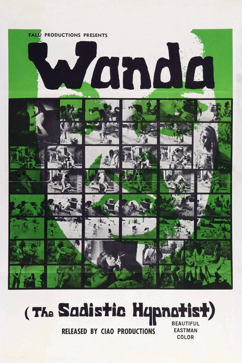 Movie poster for Wanda - The Sadistic Hypnotist (1969)