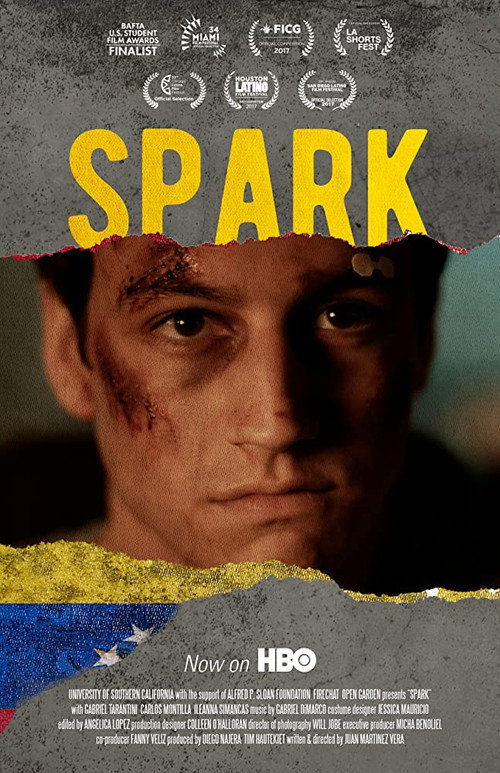 Movie poster for Spark (2016)