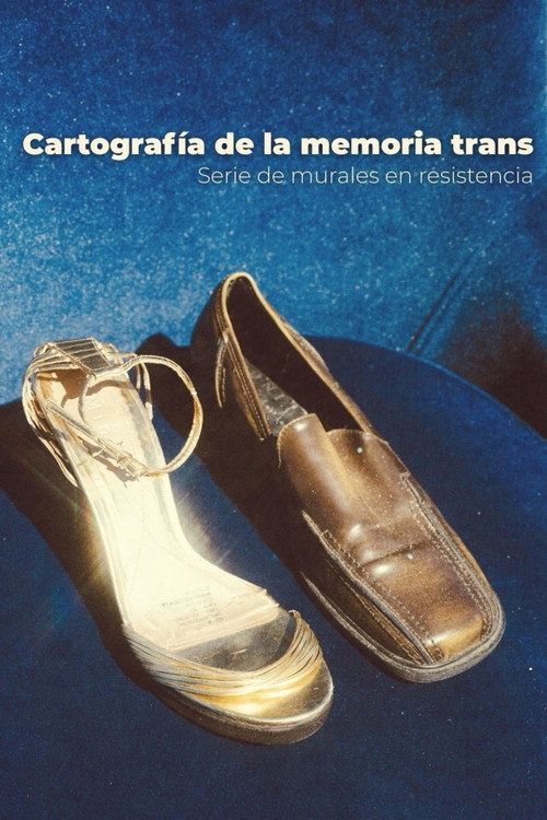 Movie poster for Cartography of Trans Memory: A series of murals in resistance (2026)