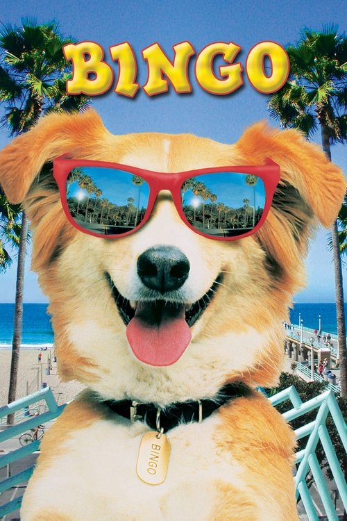Movie poster for Bingo (1991)
