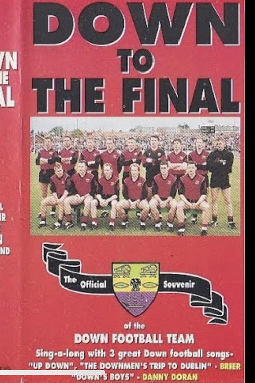 Movie poster for Down To The Final (1994)
