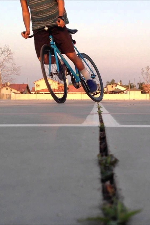 Movie poster for fixie (2008)