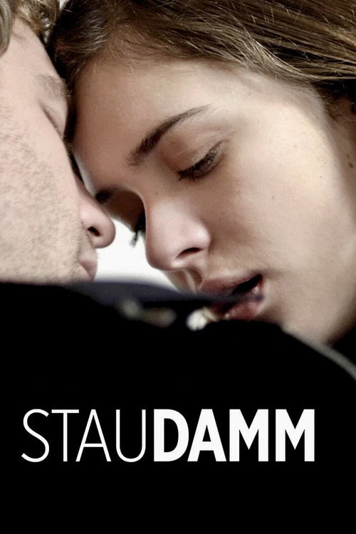 Movie poster for Staudamm (2014)