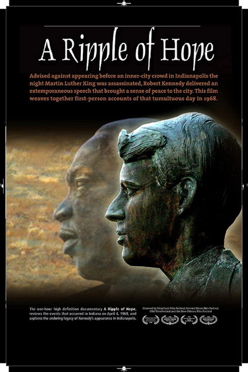 Movie poster for A Ripple of Hope (2010)