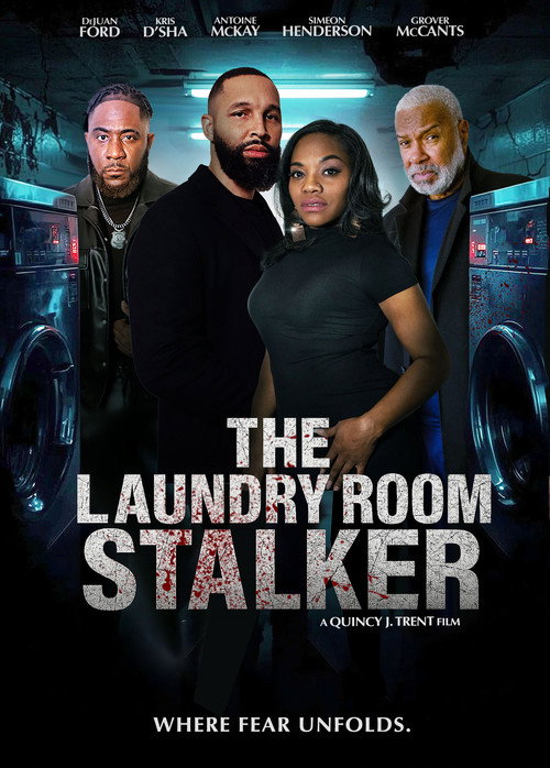 Movie poster for The Laundry Room Stalker