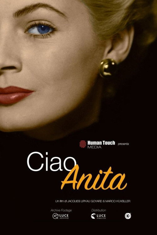 Movie poster for Ciao Anita (2021)