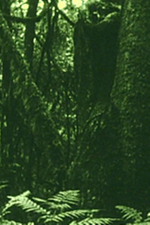Movie poster for The Eyes in the Woods and the Taste in the Water (2020)