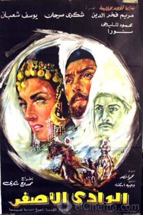 Movie poster for Yellow Valley (1970)