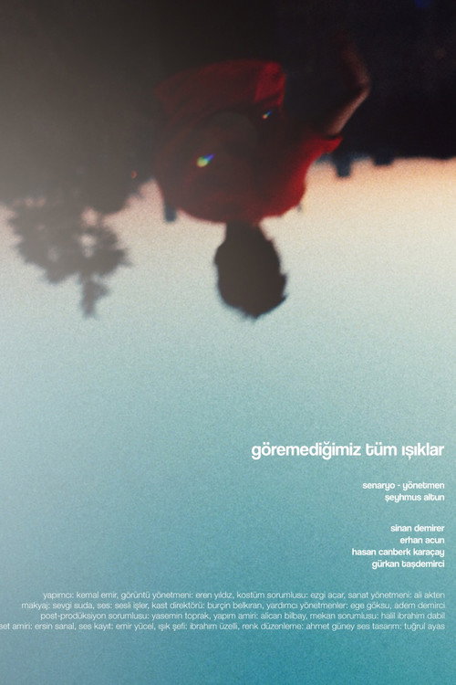 Movie poster for All the Light We Cannot See (2020)