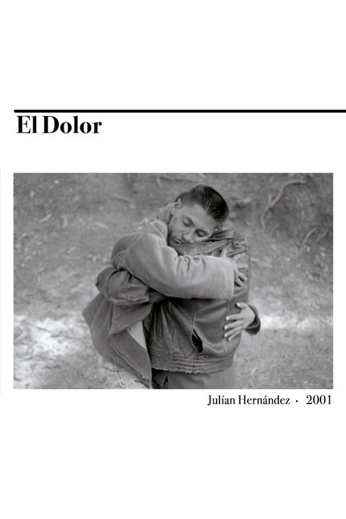 Movie poster for El dolor (2001)