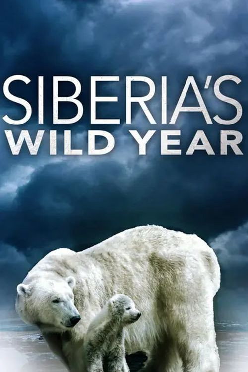 Movie poster for Siberia's Wild Year (2017)