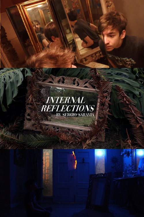 Movie poster for Internal Reflections (2020)