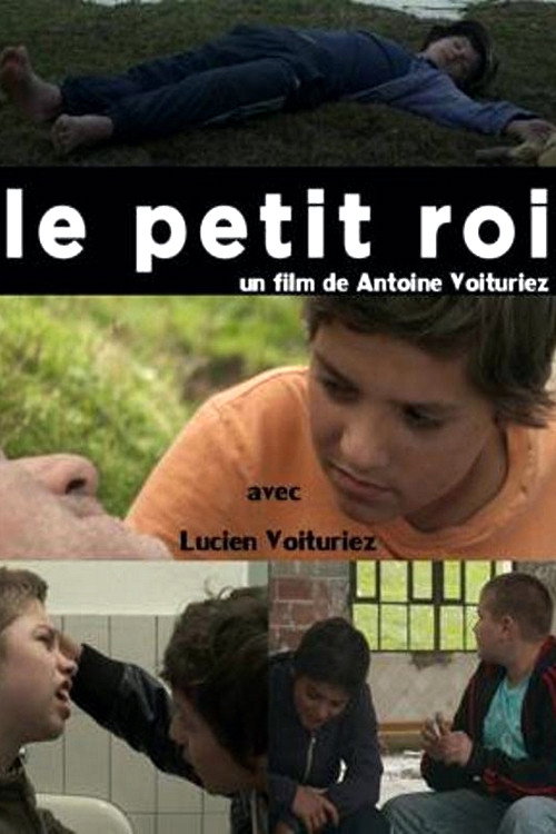 Movie poster for The Little King (2012)