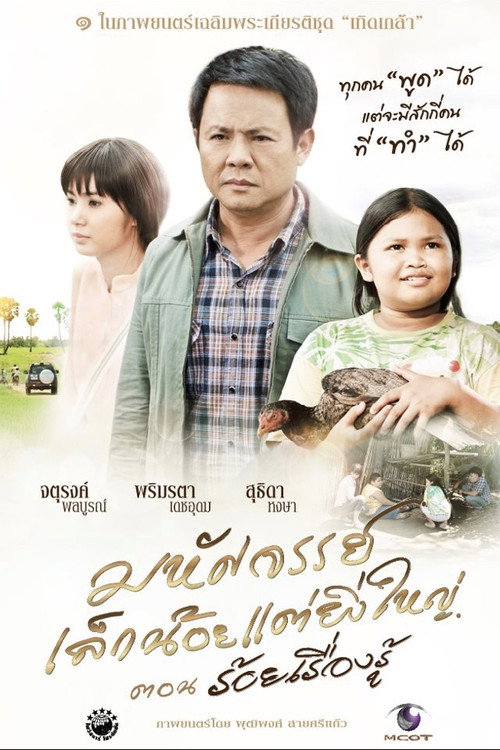 Movie poster for The Greatness of a Little Miracle (2012)