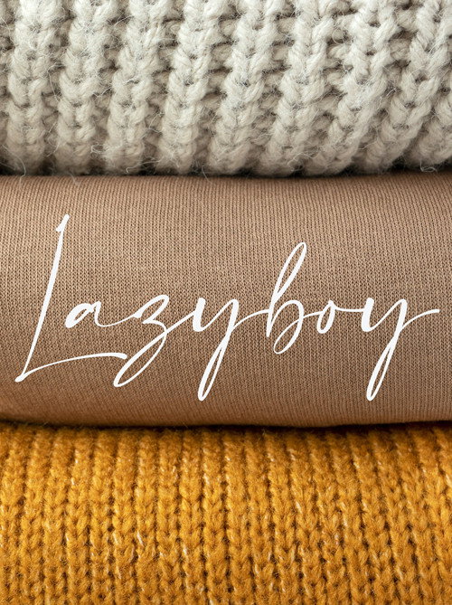 Movie poster for Lazyboy (2012)