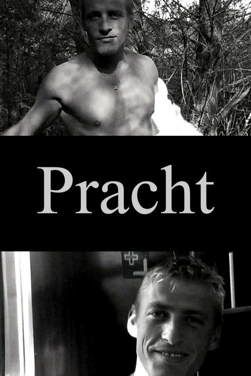 Movie poster for Pracht (2005)
