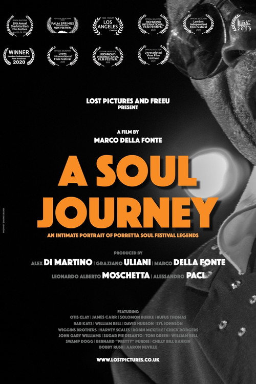 Movie poster for A Soul Journey (2019)