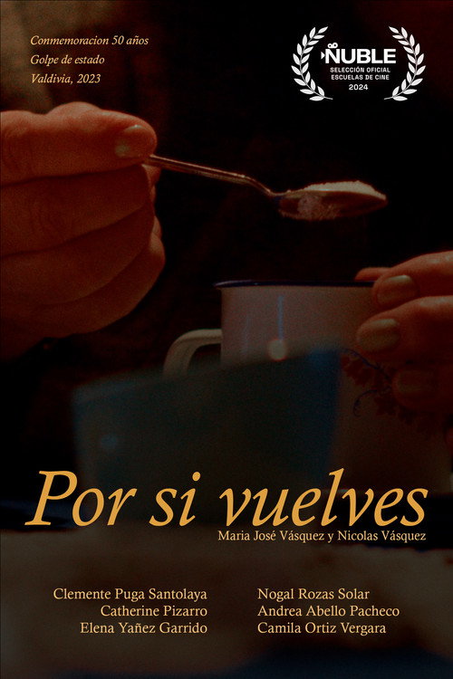 Movie poster for Por si vuelves... (2024)