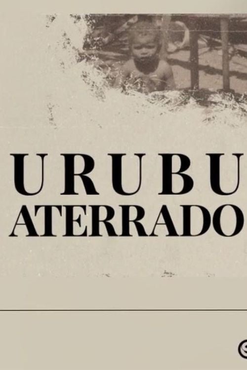 Urubu aterrado poster