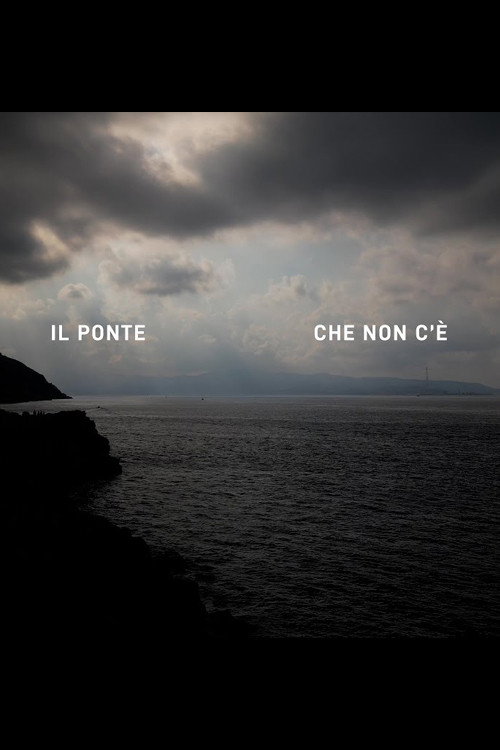 Movie poster for Il Ponte che non c'è (2024)