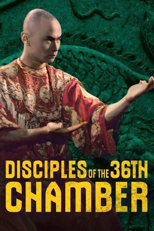 Movie poster for Disciples of the 36th Chamber (1985)
