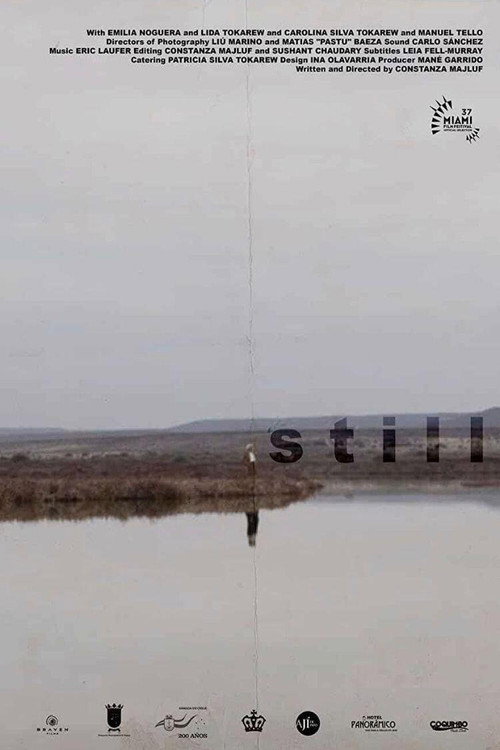 Movie poster for Still (2020)