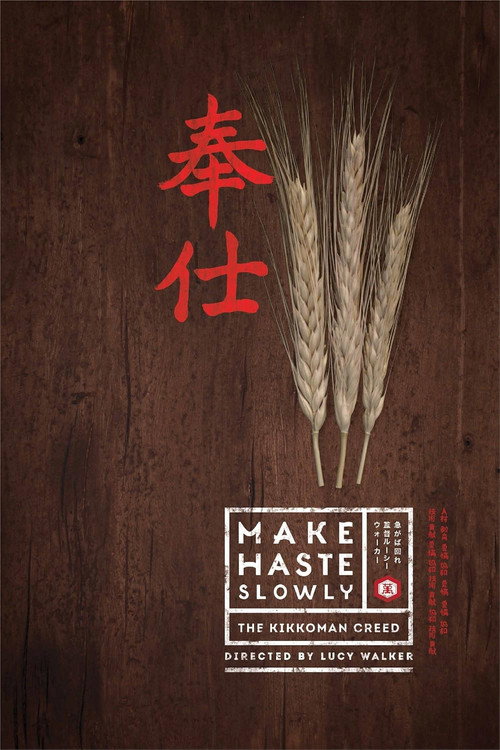Movie poster for Make Haste Slowly (2012)