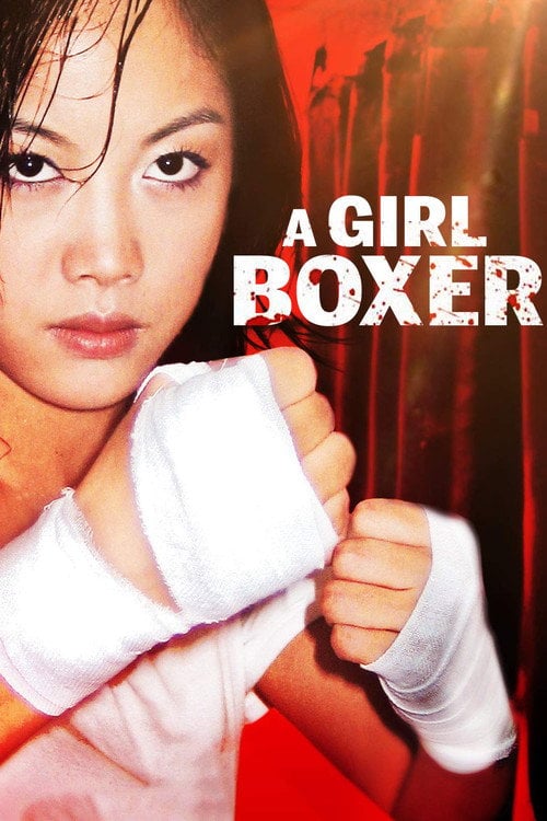Movie poster for A Girl Boxer (2004)