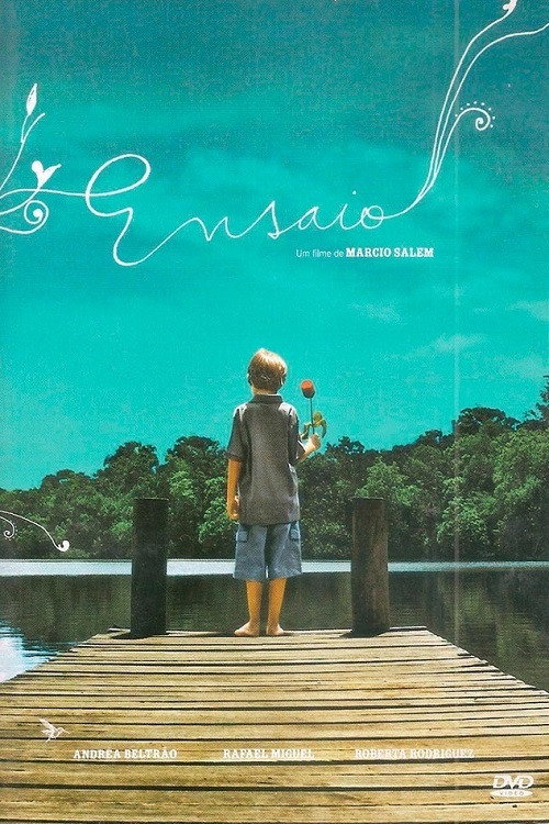 Movie poster for Ensaio (2006)