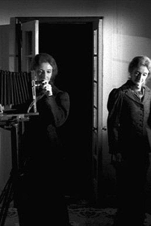 Movie poster for The Multiple Selves of Hannah Maynard (2004)