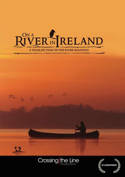 Movie poster for On a River in Ireland (2013)