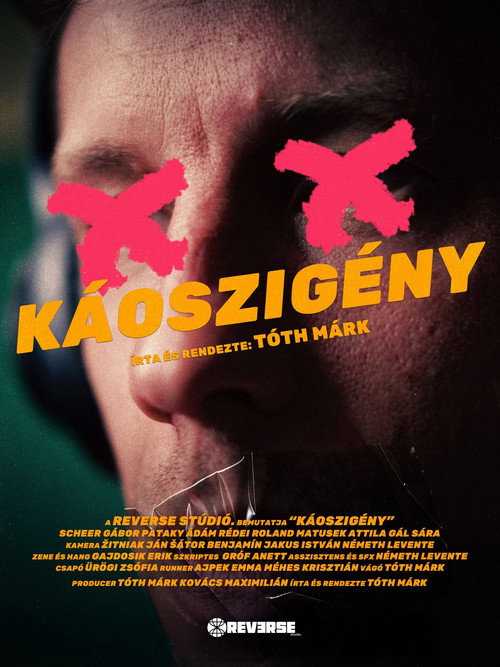 Movie poster for Chaos Exigency