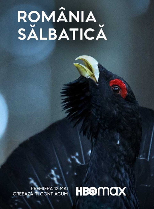 Series poster for Wild Romania (2022)