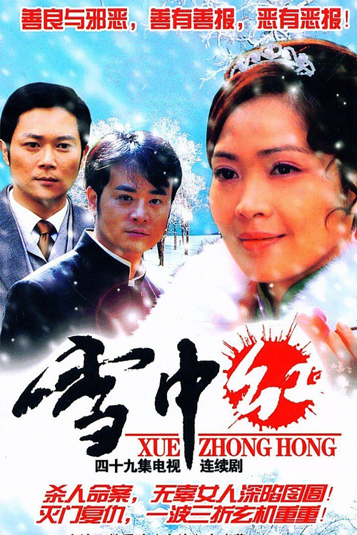 雪中红 poster