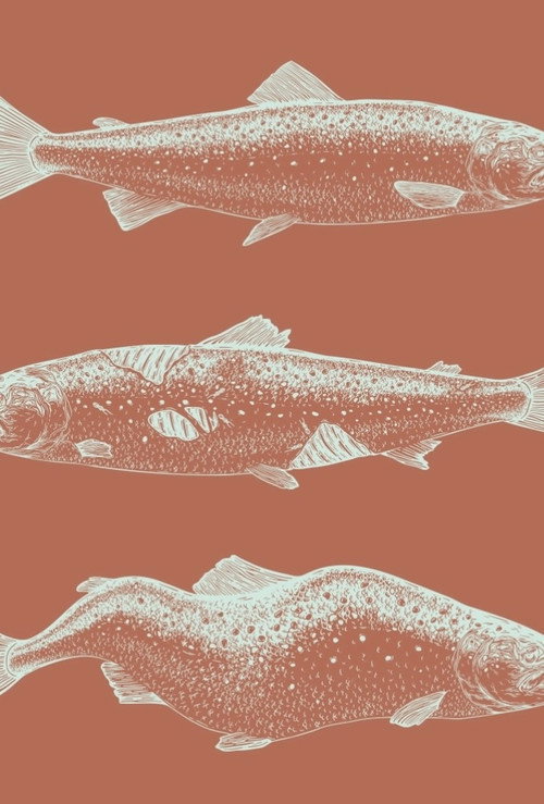 Movie poster for Laxaþjóð - A Salmon Nation (2024)
