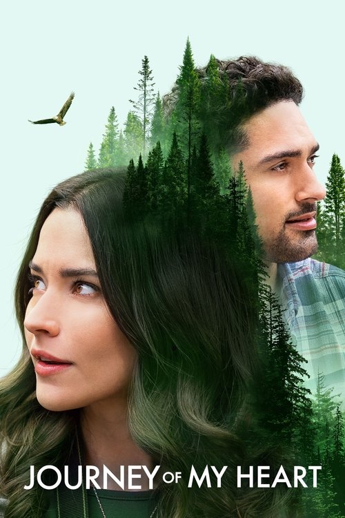 Movie poster for Journey of My Heart (2021)