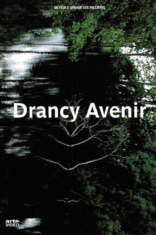 Movie poster for Drancy Future (1997)
