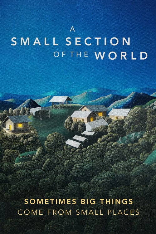 Movie poster for A Small Section of the World (2014)