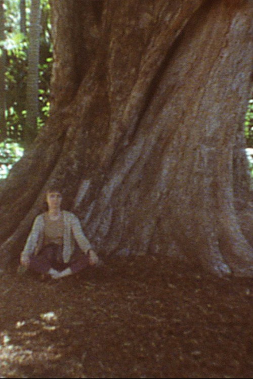 Movie poster for Tree Streets (1995)
