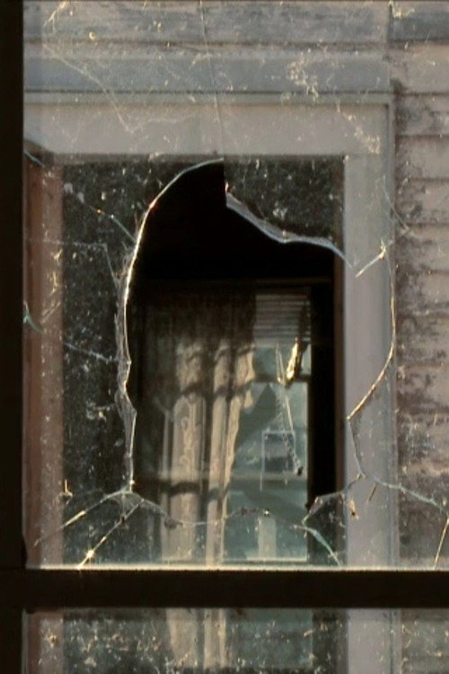 Movie poster for The Lower 9: A Story of Home (Short Version) (2012)