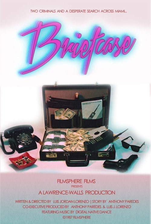 Movie poster for Briefcase (2018)