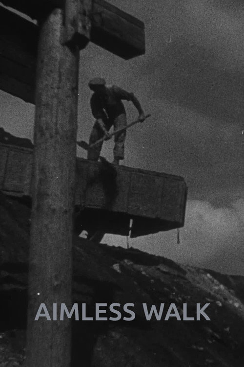 Movie poster for Aimless Walk (1930)