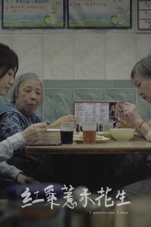 Movie poster for 3 Generations 3 Days (2019)