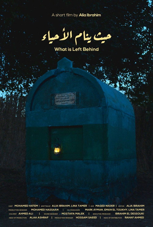 Movie poster for What is Left Behind (2024)