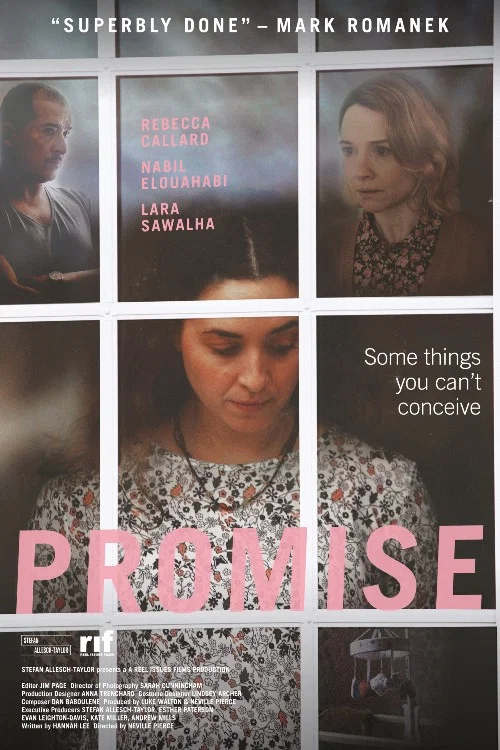 Movie poster for Promise (2017)